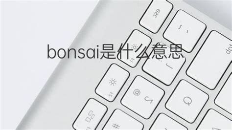 bonsai 意思|BONSAI在剑桥英语词典中的解释及翻译